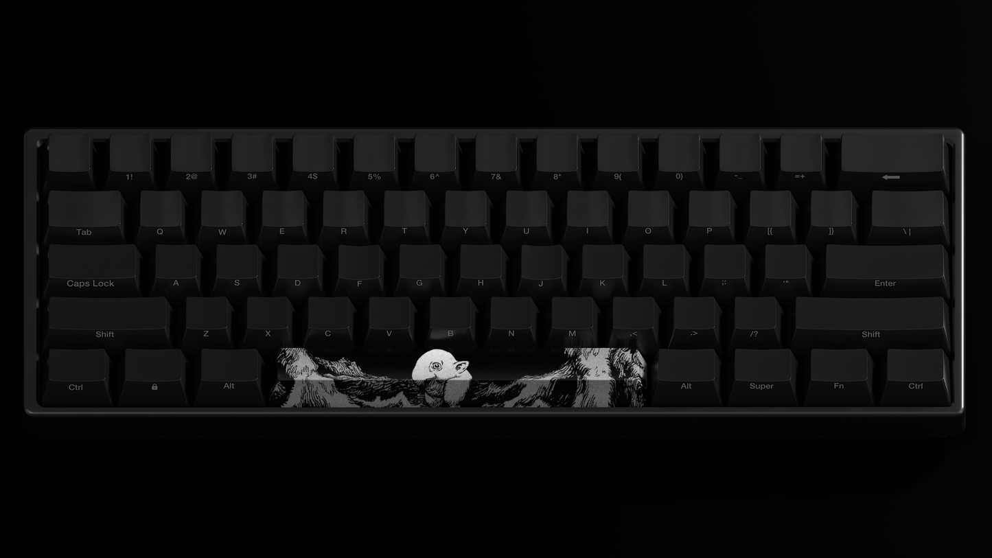 PRE-ORDER Schnoz Spacebar