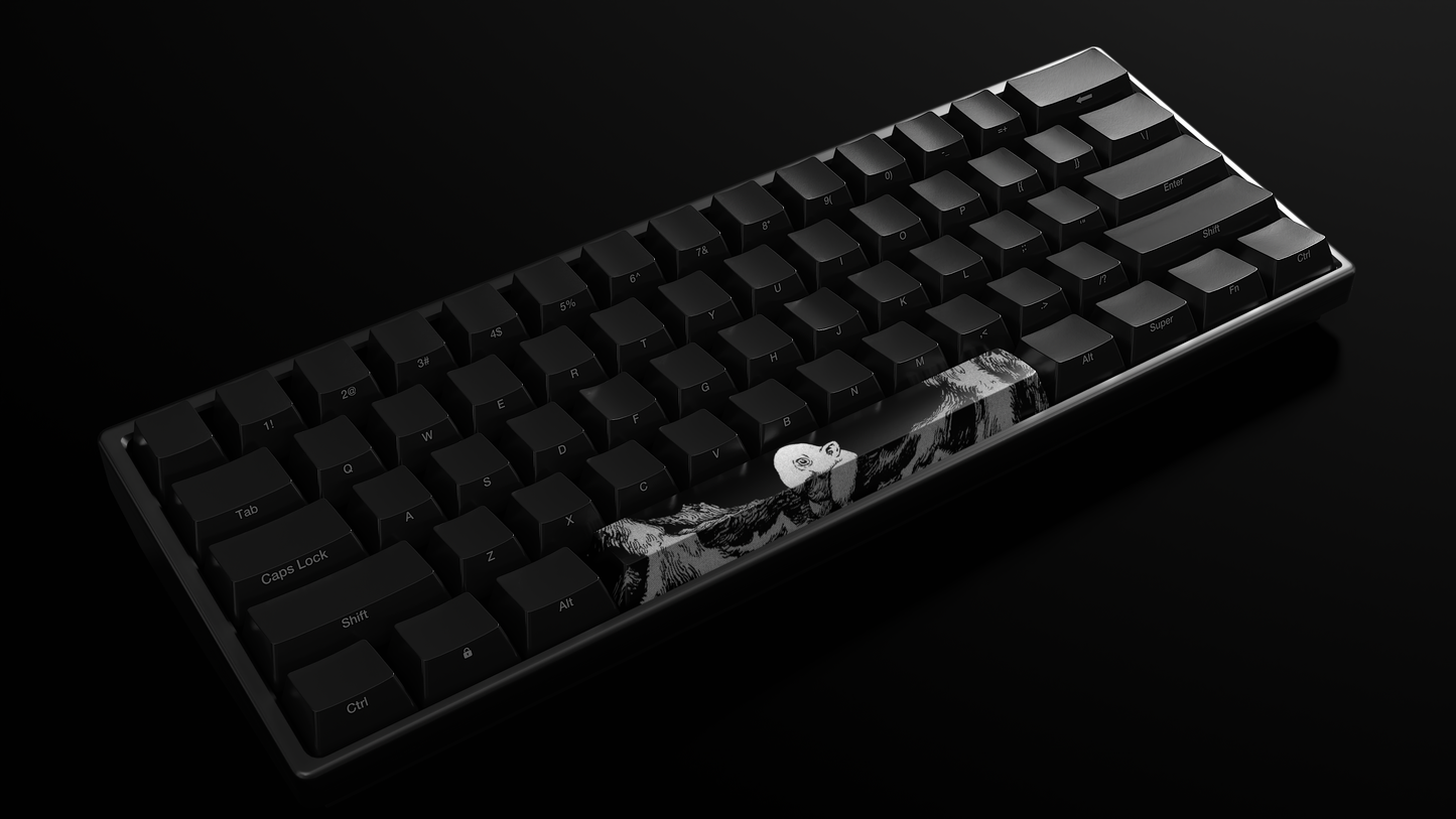 PRE-ORDER Schnoz Spacebar